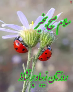 عکس نوشته ali999999 28870178