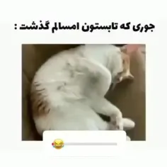 عه شصصصشصبصبصصششصب