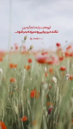 💝💝 آرزوهایت را