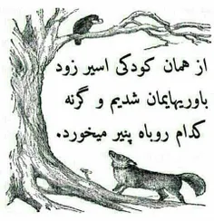 زاغکی قالب پنیری دید