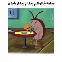 حــقــ😂😂😂