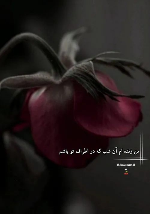 🍒🌱من زنده ام آن شب که دراطراف تو باشم🍒🌱