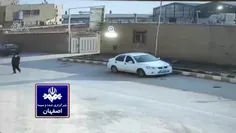 🎥 حمله شش سگ ولگرد در خیابان صنعت حبیب آباد به یک شهروند