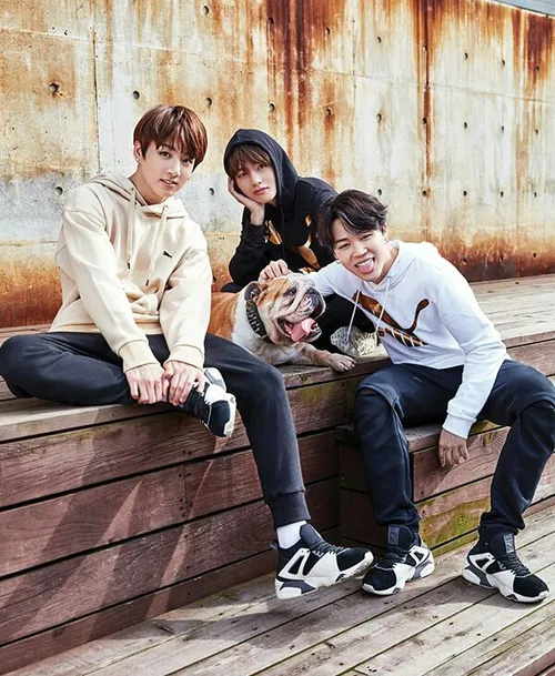 اپدیت جدید puma korea با عکسی از پسرا 🐯