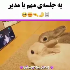 آخی چ کیوتتت 🥺♥️🖇
جلسه مهمی داشتن 🥺♥️🙃