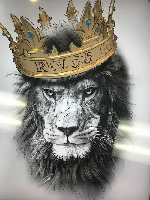 lion king lion king
