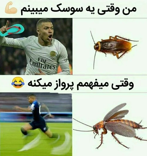 حققق