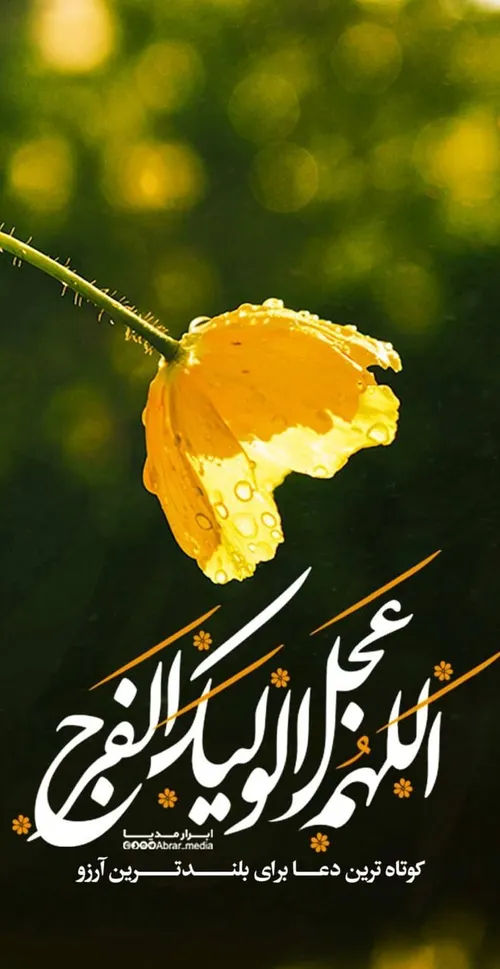 عاقبت روزی