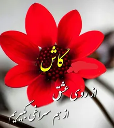 عکس نوشته banoyebare 17665024