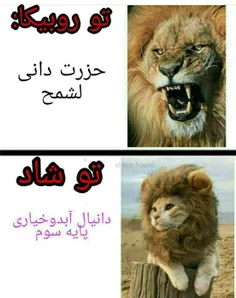 😐😂😂😂😂😂حرفی ندارم 