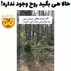 حالا هی بگید روح وجود نداره 😂