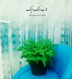 أنَا هارِبٌ مِنْکِ إلِیْکِ محوری و کلیدی است اینکه می گوی