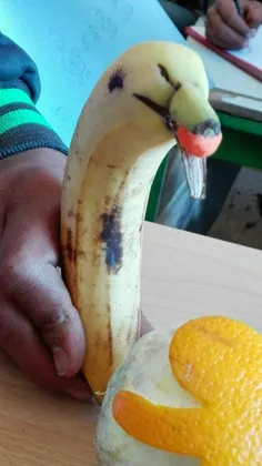 دلفین