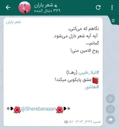 #سعید_فلاحی