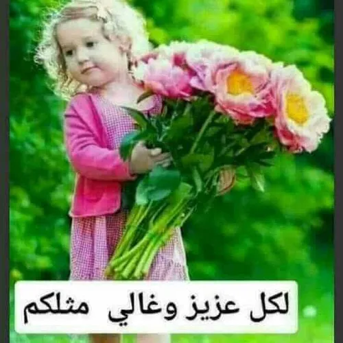 شعر و ادبیات hosein0011 23738437 - عکس ویسگون