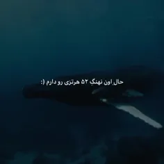 صدامه ۵۲ هرتزی نهنگ،پسرم دادم نمیشنوه هیچکی که بخواد لبش 