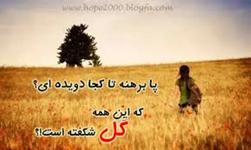 عاشقانه ها amin_rooshandel 8804448 - عکس ویسگون