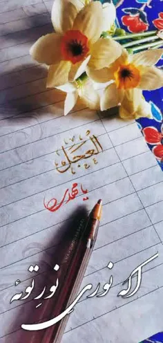 تعجیل در ظهــور آقا صلوات💚🌷