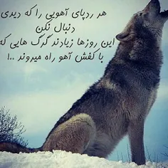 عکس نوشته erfan1373 22278208