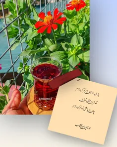 🍒🌱باز دل را خالی ازغم کرده ام