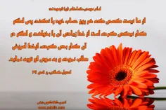 امام موسی کاظم (ع) :