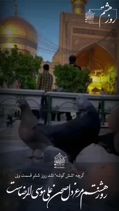 السلام  علیک  یا  علی  بن  موسی  الرضا  المرتضی  💙  🌹  من