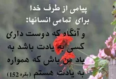 عکس نوشته amirarrrr 16260720