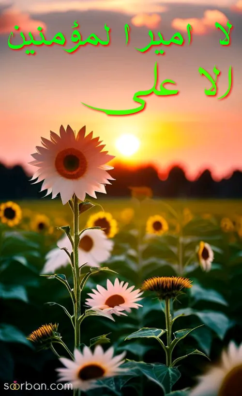 لا  امیر المؤ منین  الا علی  ۰