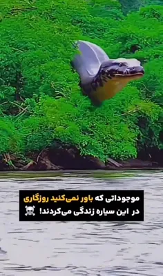 *پیج شگفت انگیز ویسگون*تشکرازلایک و حضورتون*