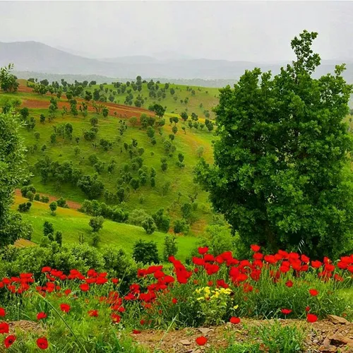 کوههای جاده سردشت