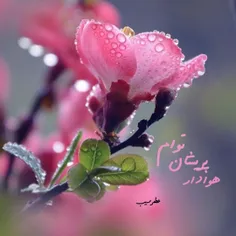 ♥️🍃توصیه‌امام‌مهدے