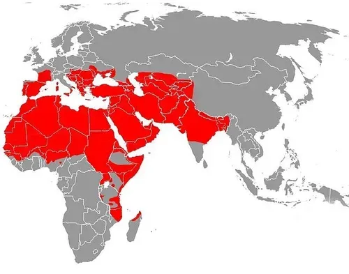 نقشه خلافت اسلامی در آینده