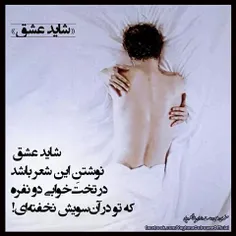 شاید عشق