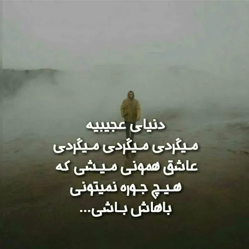 شاید حقیقت همینه.