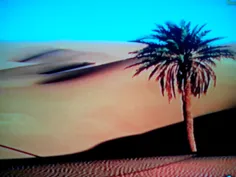 یک نخل در صحرای ماسه زاز