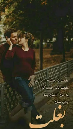 #مقصد نه جنگله، نه دریا 