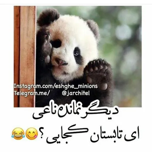 ۴تا😩 😩 دیگر نمانده نایی