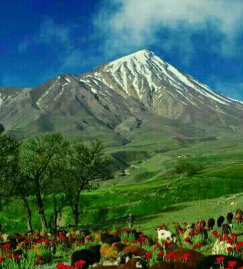شکوه قله زیبای دماوند در تهران