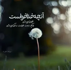 💚خداشکرت💚