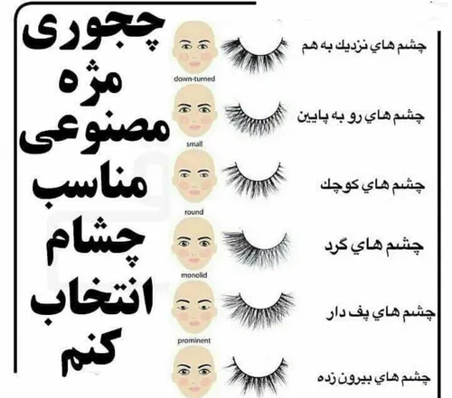 مژه