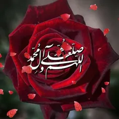 ✨ 🌹 در اولین شنبه دی ماه