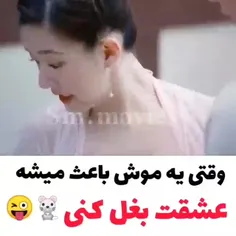 سریال : عاشقان ببر و گل رز