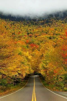 احتمالا ورودی بهشت ای شکلی باشه.