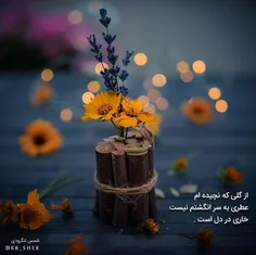 ♠      ️آنکه دوستش داشتم 