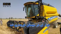 بیش‌از یک‌هزار تن گندم در سیستان و بلوچستان خریداری شد