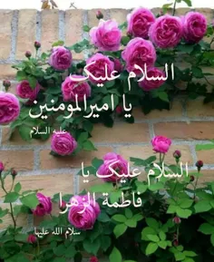 ياعلىُّ ياعلىُّ ياعلىّ 🌷