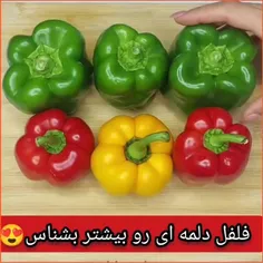 🫑فلفل دلمه رو بیشتر بشناس😍