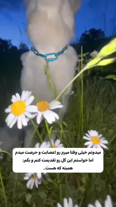 بفرست براش:)