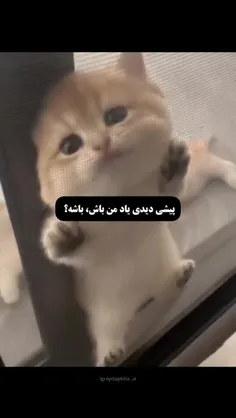 باشه؟.....