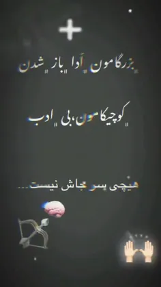 کلیپ دب لاتی 